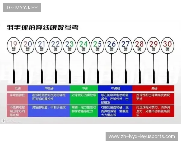 羽毛球和羽毛拍多少元